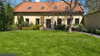 STILL Grzegorz Zwoliński